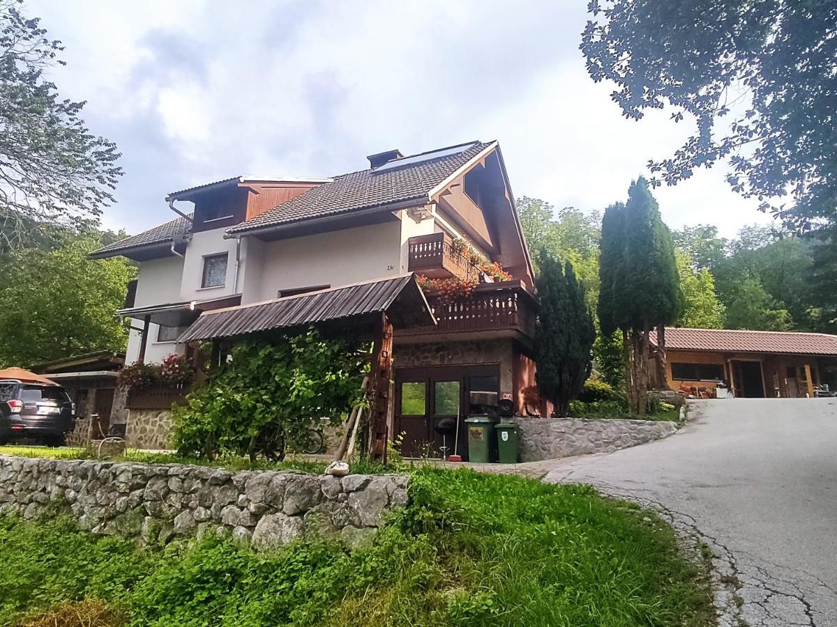 Fantastic Apartment Brglez Bohinjska Bela Exterior photo