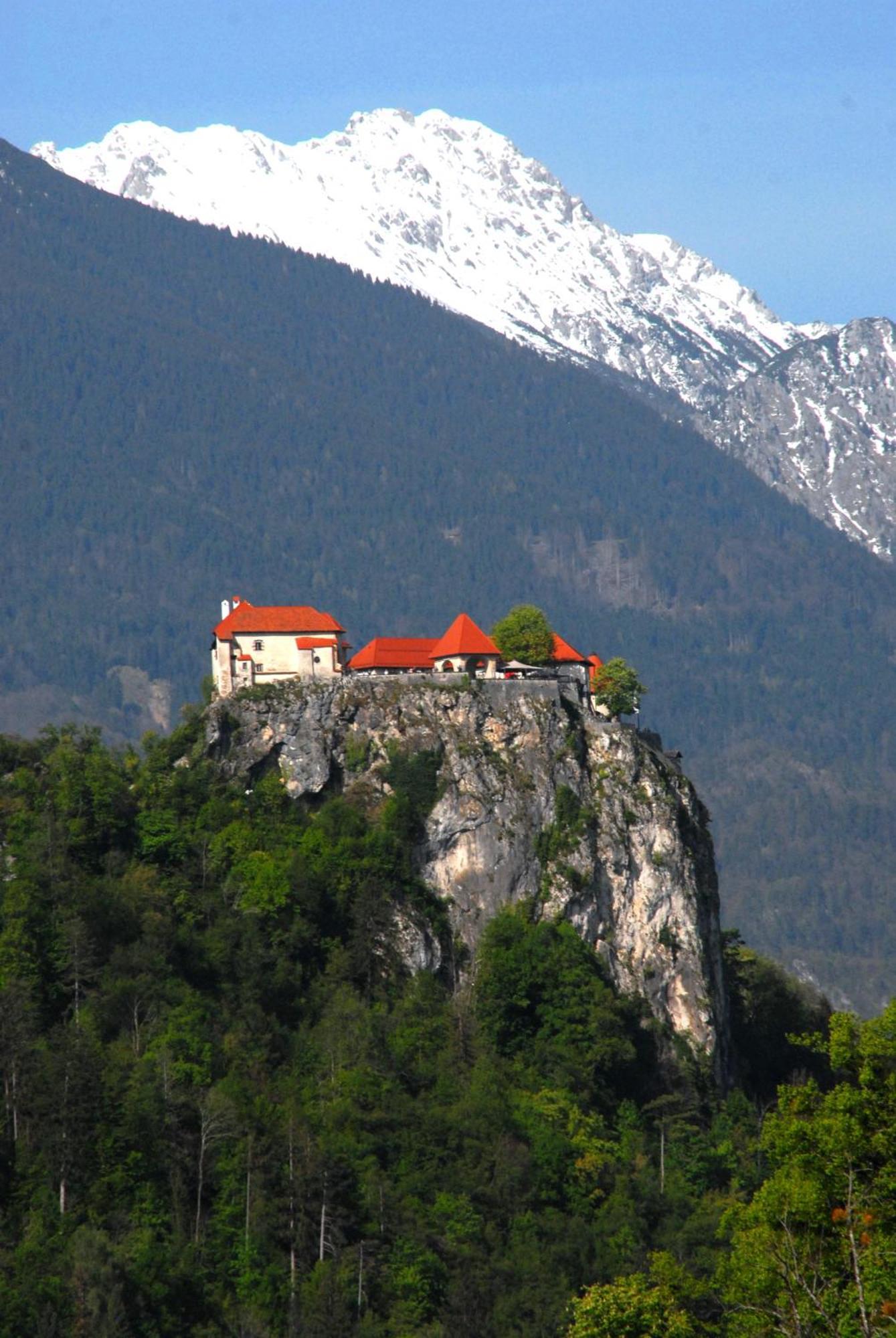 Fantastic Apartment Brglez Bohinjska Bela Exterior photo
